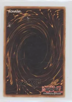 Red-Eyes B Dragon (Red-Eyes Black Dragon) 1st Ed. YuGiOh Starter Deck Joey fi8 - Image 2
