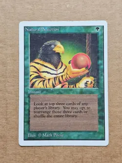 Natural Selection #2- Unlimited - HP - Magic MTG - Image 1