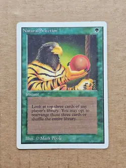 Natural Selection #1 - Unlimited - HP - Magic MTG - Image 1