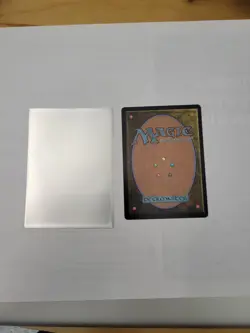 MtG - Raise the Past (Extended Art) - Foundations (Non Foil 447) - Image 2