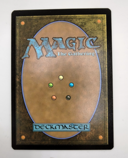 MTG Secret Lair Island #889 SLD0889 Bonus Card IN HAND SHIPS FAST - Image 3