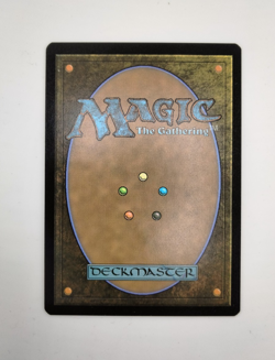 MTG Secret Lair Plains #888 SLD0888 Bonus Card IN HAND SHIPS FAST - Image 3