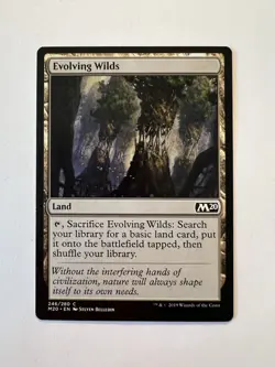 Evolving Wilds - MTG Core Set 2020 - NM - Image 1