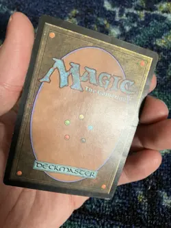 MTG Swamp Guru Lands Magic the Gathering Terese Nielsen Rare Eclipse Land - Image 4