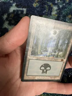 MTG Swamp Guru Lands Magic the Gathering Terese Nielsen Rare Eclipse Land - Image 5