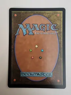 MTG Perch Protection - NM/M Extended Art BLC - Image 4