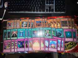 Yugioh!- Pacman W/ side Deck Goat Format- Des Lacooda Swarm Scarabs Locusts - Image 1