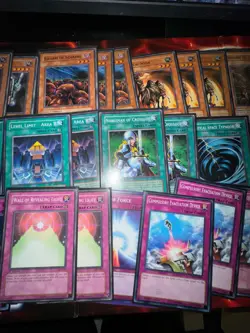 Yugioh!- Pacman W/ side Deck Goat Format- Des Lacooda Swarm Scarabs Locusts - Image 3