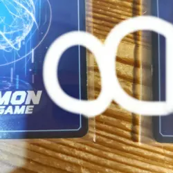 Scratched Digimon Card Game Shinomiya Rina R 2-Card Set Parallel - Image 4