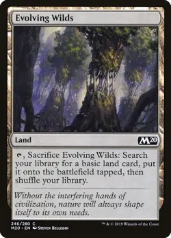 Evolving Wilds LP #246 Core Set 2020 MTG - Image 1
