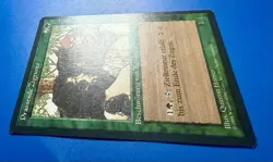 1 BANNED MTG Pradesh G | German | Renaissance | 1995 | Magic The Gathering |NM - Image 3
