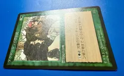 1 BANNED MTG Pradesh G | Japanese Fourth Edition Black Border | 1995 | MTG |NM - Image 3