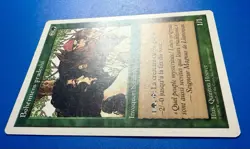 1 BANNED MTG Pradesh G | Italian Fifth Edition | 1997 | Magic The Gathering |NM - Image 3