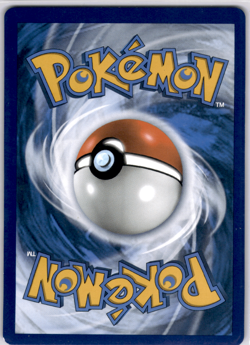 Pikachu V SWSH: Sword & Shield Promo Cards - Pokemon Near Mint - Image 2