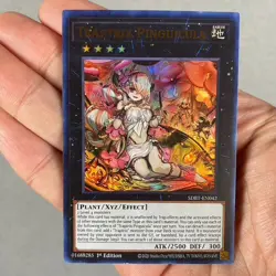 Yugioh! Traptrix Pinguicula - SDBT-EN042 - Ultra Rare - 1st Edition Near Mint, E - Image 1