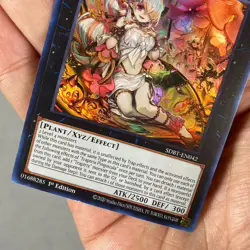 Yugioh! Traptrix Pinguicula - SDBT-EN042 - Ultra Rare - 1st Edition Near Mint, E - Image 3