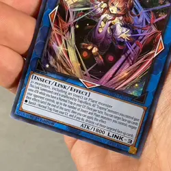 Yugioh! Traptrix Atypus - SDBT-EN043 - Ultra Rare - 1st Edition Near Mint, - Image 3