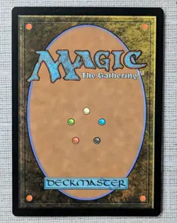 Mtg Card Detailed/Subtlety Shiva Secret Lair Foil - Image 2