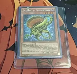 YuGiOh! - Predaplant Spinodionaea - FUEN-EN004 - Secret Rare - 1st Ed - NM - Image 1
