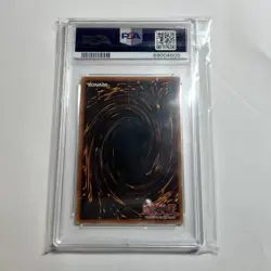 2006 Yugioh Elemental Hero Wild heart GX Special Edition PSA 7 - Image 2