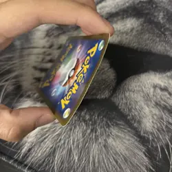 M Charizard EX 002/021 XYA Holo 2014 Japanese Pokemon Card Nintendo From Japan - Image 5