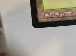 MTG Forest Portal 203 Regular Land Magic - Image 4