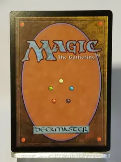 MTG Mountain Portal 211 Regular Land Magic - Image 4