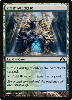 Simic Guildgate - Gatecrash - Magic the Gathering MTG Nice! - Image 1