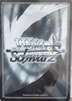PSA10 Weiss Schwarz Erza SEC+ Signed Card Sword to Protect Friends from Japan - Image 5
