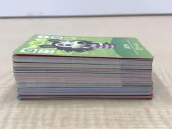 Animal Crossing:Horizons Amiibo Card Sp Sanrio Full Comp 66 Cards - Image 4