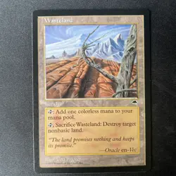 MTG Tempest Wasteland (LP) - Image 1