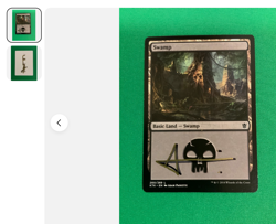 MTG Magic Seize The Day + Buried Alive Swamp 260 KTK Proof UMA Staples Paquette - Image 3