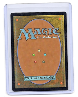 2024 MTG Bloomburrow Fountainport Regular #253 - Image 2