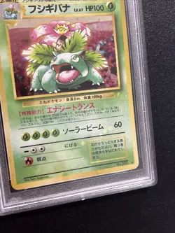 Venusaur No. 003 Holo Bleed Error* CD Promo Japanese PSA 8 Japanese Pokemon Card - Image 2