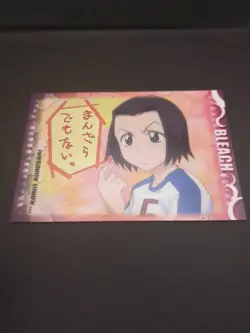 Karin Kurosaki No.45 Bleach Bromide Collection Card BIG Amada 2004 Japan TCG CCG - Image 5