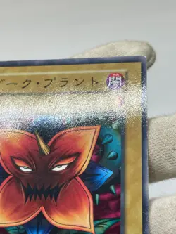 Yugioh Dark Plant No Ref Common 1999 Booster1 old school Japanese - Image 3