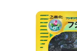 Pokemon Card Venusaur 097/128 Holo Rare E series 1st ED LP Japanese Pokemon Card - Image 4
