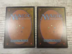 2x Forsaken Wastes - Visions - NM - English - OOP MTG #1 - Image 3