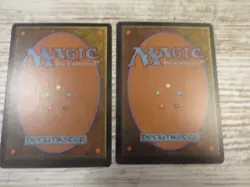 2x Forsaken Wastes - Visions - NM - English - OOP MTG #2 - Image 3