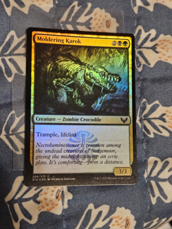 Moldering Karok Foil Strixhaven: School of Mages STX Magic MTG - Image 1