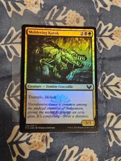 Moldering Karok Foil Strixhaven: School of Mages STX Magic MTG - Image 3