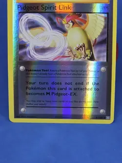 Pidgeot Spirit Link Reverse Holo 81/108 XY Evolutions Pokemon Card 2016 - Image 4