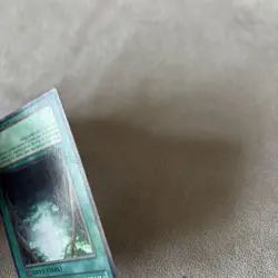 Ancient Forest ANPR-EN048 Super Rare 1st Edition Yugioh DMG - Image 4