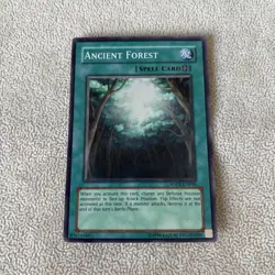 Ancient Forest ANPR-EN048 Super Rare Unlimited Yugioh LP - Image 1
