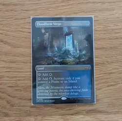 Floodfarm Verge - Borderless - FOIL - Rare - Duskmourn - MTG - Image 1