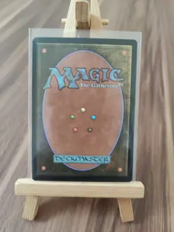 Evolving Wilds 353 AFR Showcase Magic the gathering MTG Card * New * - Image 5