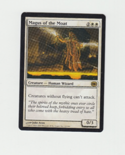 Magus of the Moat *Future Sight* MTG Magic the Gathering - Image 1