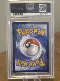 Pokemon Terapagos ex Stellar Crown Special Illustration Rare #170 PSA 10 - Image 2