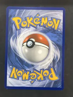 Totodile (81/111) (Jumbo Card) [First Partner Pack] Slight Crimp - Image 2