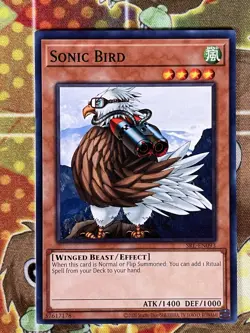 Yugioh Sonic Bird SRL-EN093 Single - Image 1